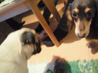 2011012222560000.jpg